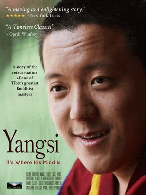 Poster of the movie Yangsi