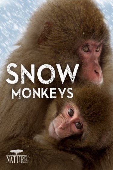 L'affiche du film Nature: Snow Monkeys