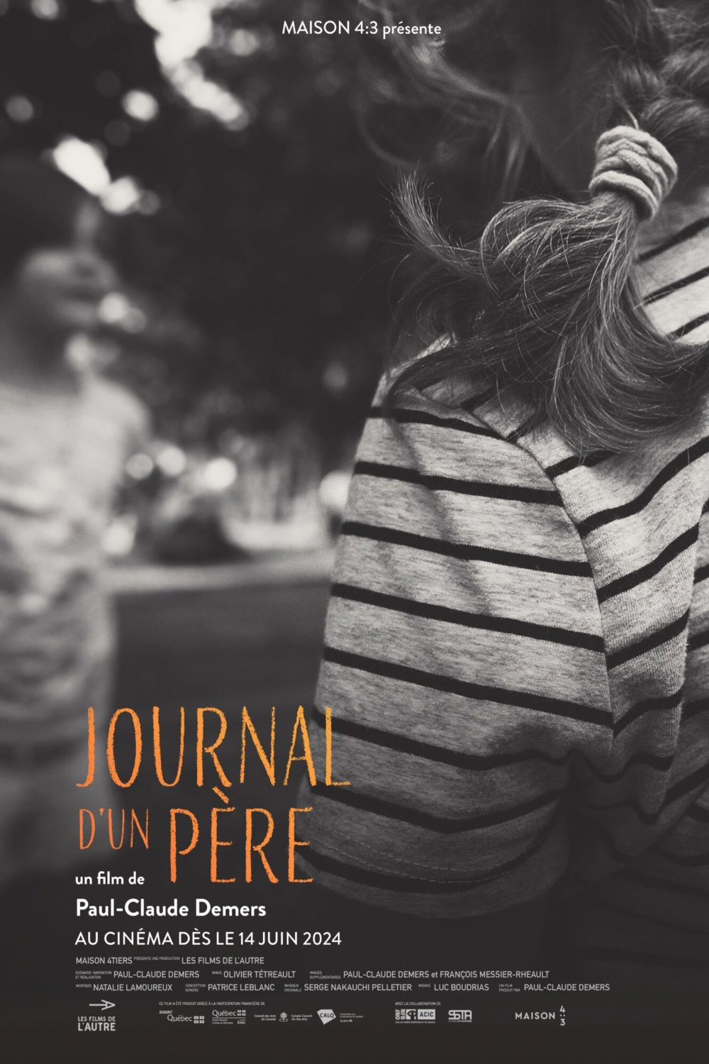 Poster of the movie Journal d'un père