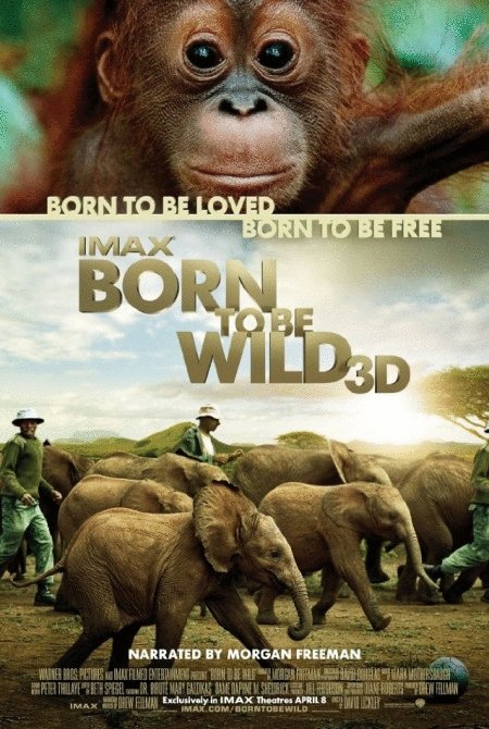 Poster of the movie IMAX: Born to Be Wild
