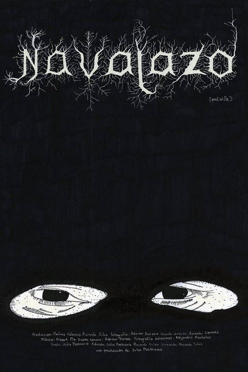 Spanish poster of the movie Navajazo