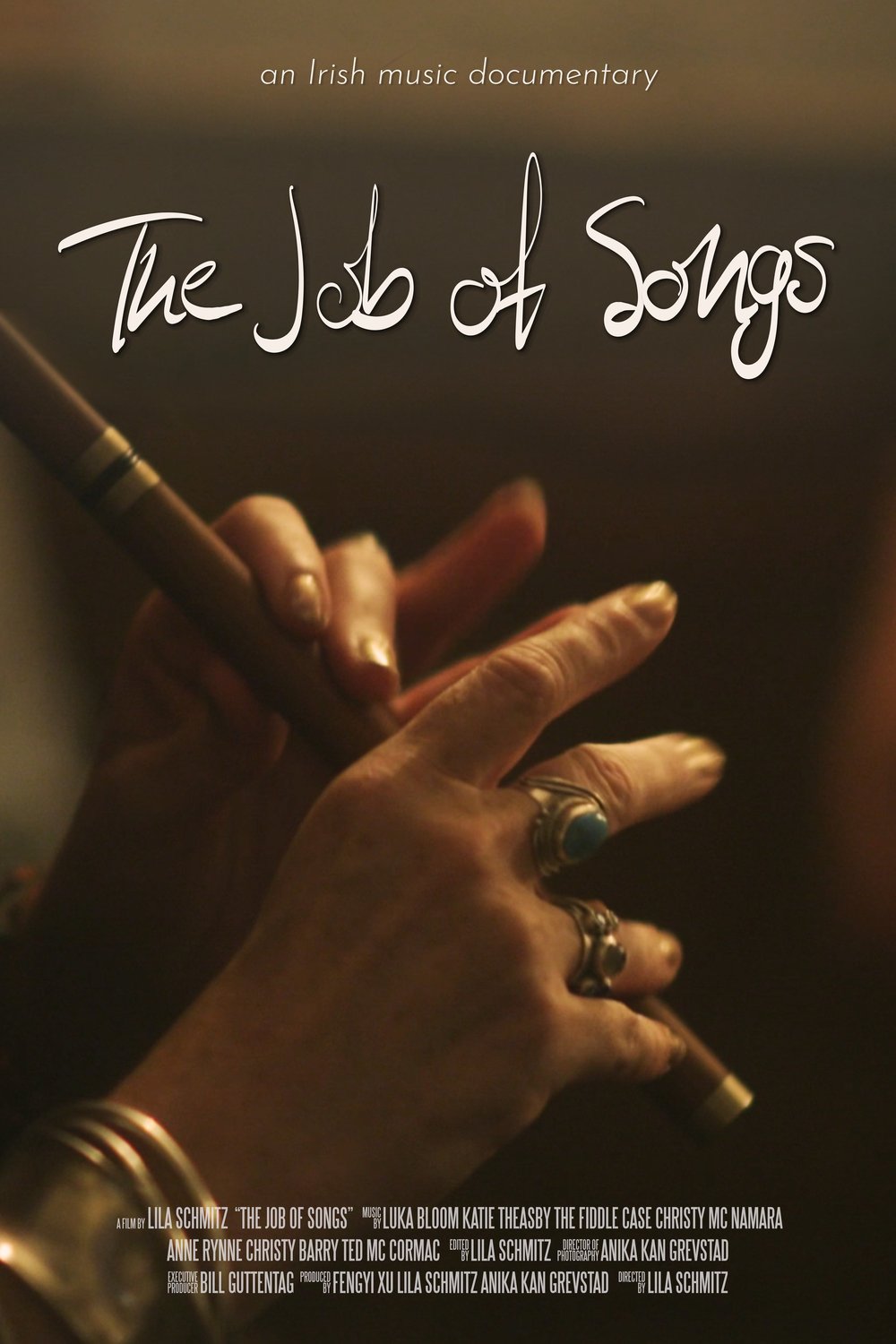 L'affiche du film The Job of Songs